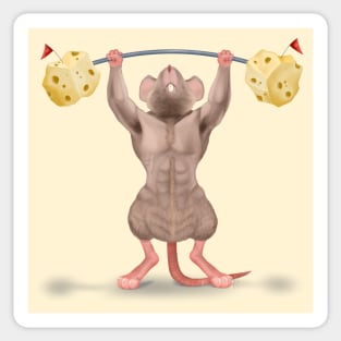 Gym Rat Sticker